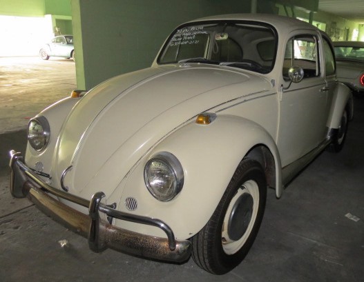 Used 1967 VOLKSWAGEN Beetle  | Lake Wales, FL