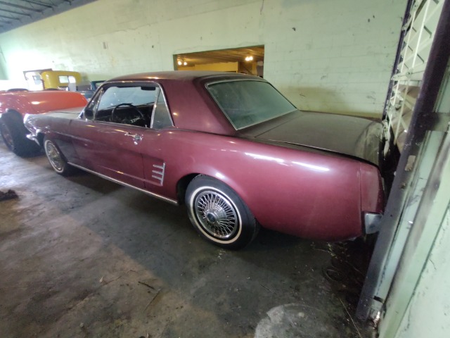 Used 1966 Ford Mustang  | Lake Wales, FL