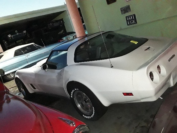 Used 1981 CHEVROLET corvette  | Lake Wales, FL