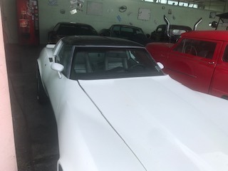 Used 1981 CHEVROLET corvette  | Lake Wales, FL