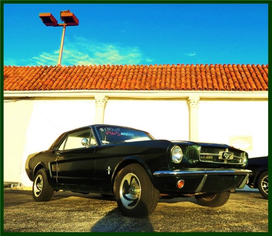 Used 1965 FORD Mustang  | Lake Wales, FL