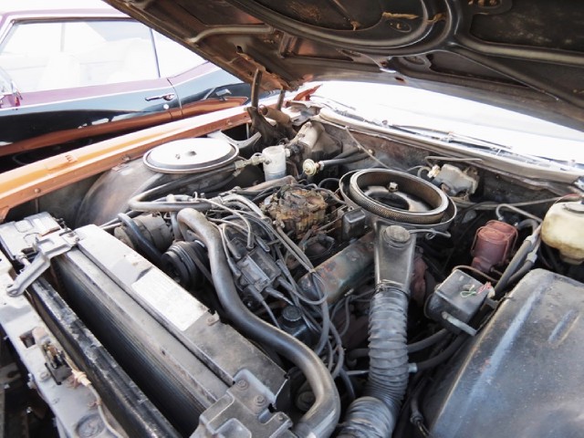 Used 1978 CADILLAC Eldorado  | Lake Wales, FL