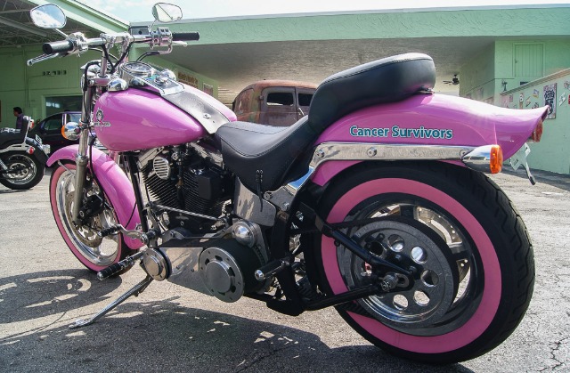 Used 2010 HARLEY DAVIDSON Harley Davidson  | Lake Wales, FL