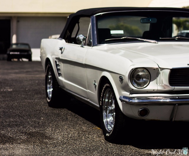 Used 1965 Ford MUSTANG CONVERTABLE | Lake Wales, FL