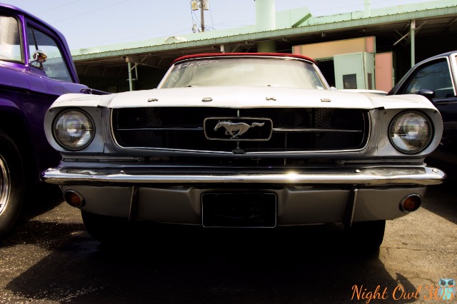 Used 1965 FORD MUSTANG  | Lake Wales, FL