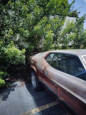 Used 1973 FORD MUSTANG Mach 1 | Lake Wales, FL