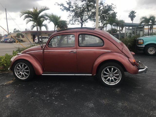 Used 1964 VOLKSWAGEN Beetle  | Lake Wales, FL