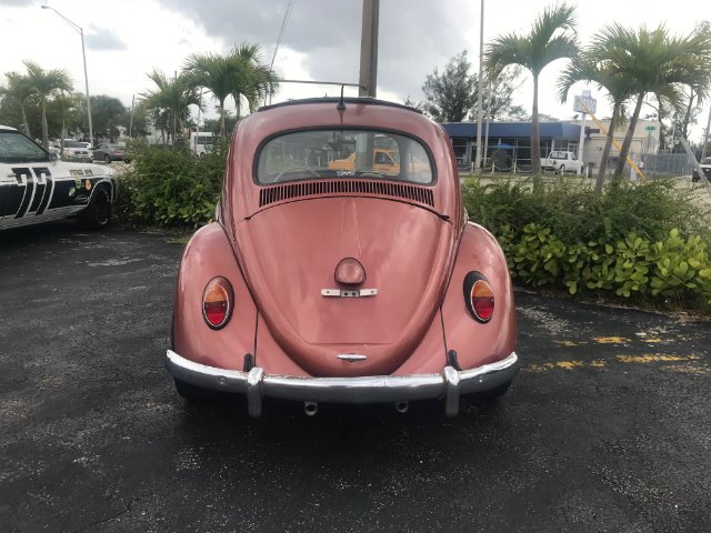 Used 1964 VOLKSWAGEN Beetle  | Lake Wales, FL