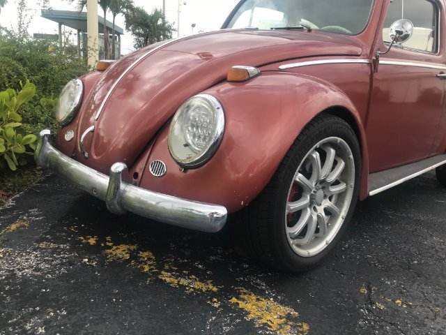 Used 1964 VOLKSWAGEN Beetle  | Lake Wales, FL
