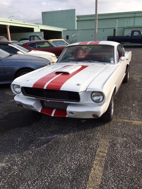 Used 1966 FORD MUSTANG | St. Petersburg, FL