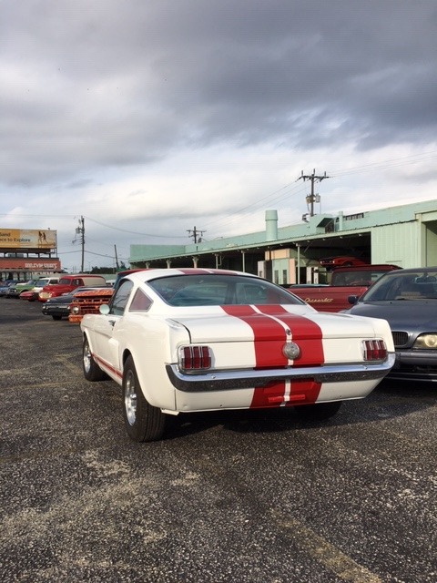 Used 1966 FORD MUSTANG  | Lake Wales, FL