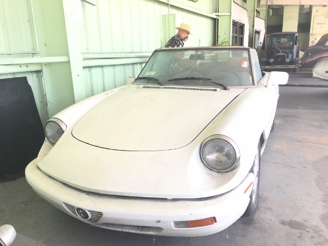 Used 1991 ALFA ROMEO SPIDER Veloce | Lake Wales, FL