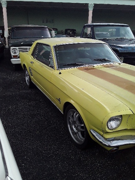 Used 1966 FORD MUSTANG  | Lake Wales, FL