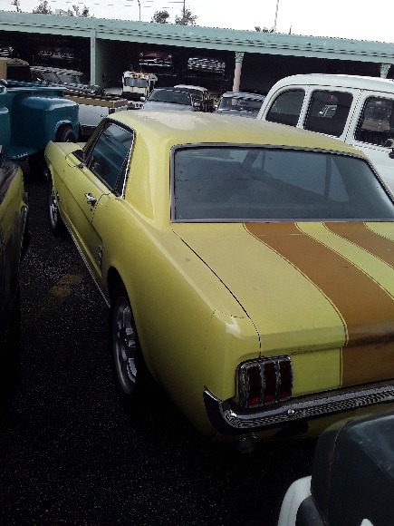 Used 1966 FORD MUSTANG  | Lake Wales, FL