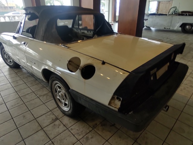 Used 1986 ALFA ROMEO SPIDER Veloce | Lake Wales, FL