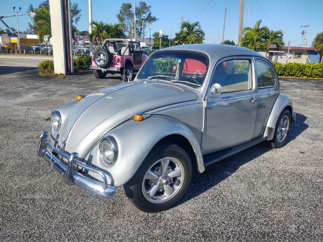 Used 1967 VOLKSWAGEN Beetle  | Lake Wales, FL