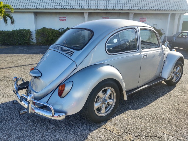 Used 1967 VOLKSWAGEN Beetle  | Lake Wales, FL