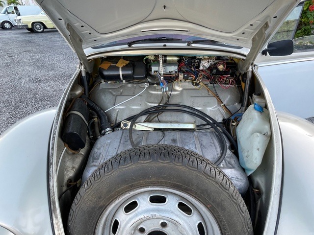 Used 1965 VOLKSWAGEN Beetle  | Lake Wales, FL