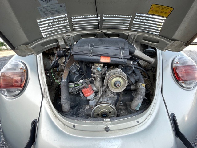 Used 1965 VOLKSWAGEN Beetle  | Lake Wales, FL