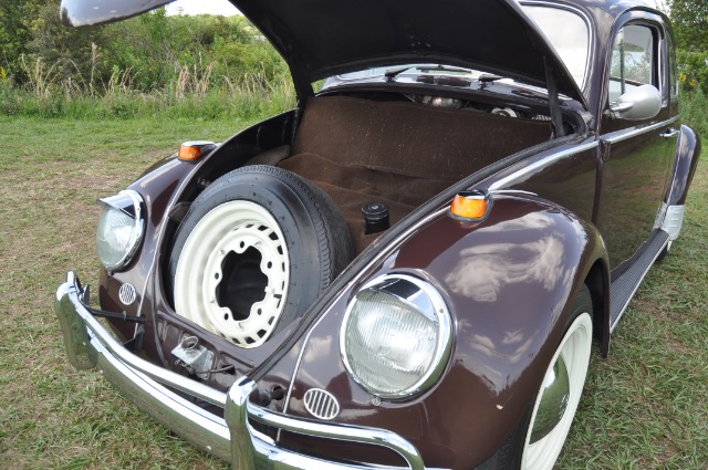 Used 1969 VOLKSWAGEN BEETLE | St. Petersburg, FL