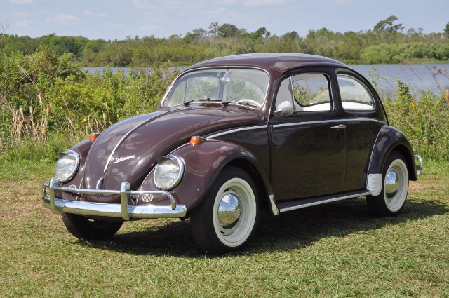 Used 1969 VOLKSWAGEN BEETLE | St. Petersburg, FL