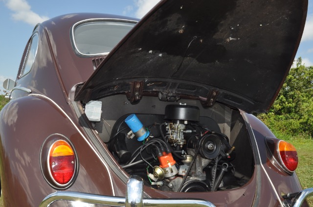 Used 1969 VOLKSWAGEN BEETLE | St. Petersburg, FL