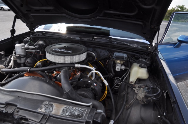 Used 1983 Chevrolet Malibu | St. Petersburg, FL