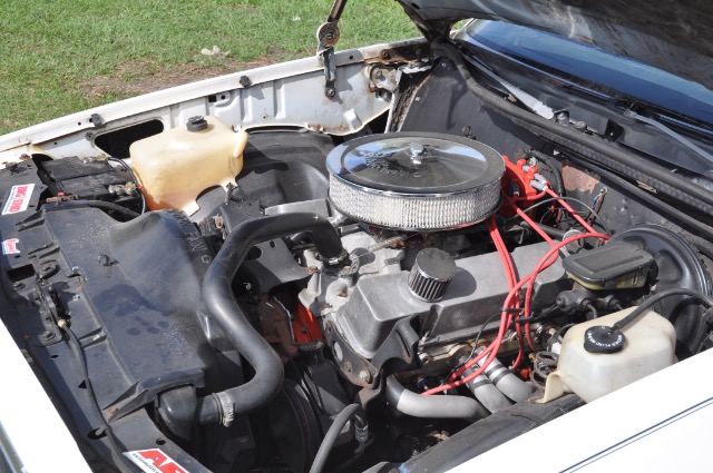 Used 1980 CHEVROLET MALIBU | St. Petersburg, FL